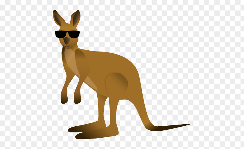 Australia Kangaroo Macropodidae Red Fox Clip Art PNG