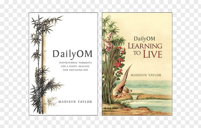 Book Gift DailyOM: Learning To Live Dailyom: Inspirational Thoughts For A Happy, Healthy, And Fulfilling Day Unmedicated: The Four Pillars Of Natural Wellness Amazon.com PNG