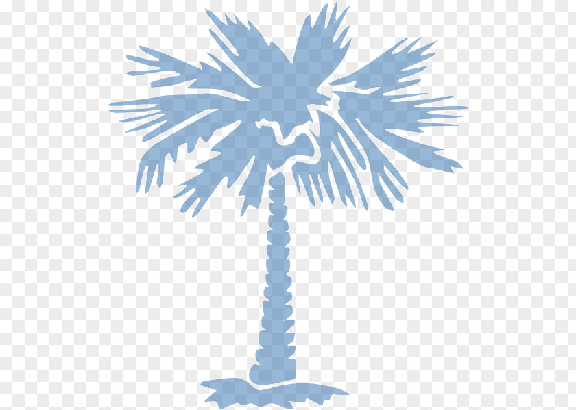 Date Palm Trees Sabal Clip Art Asian Palmyra Vector Graphics PNG