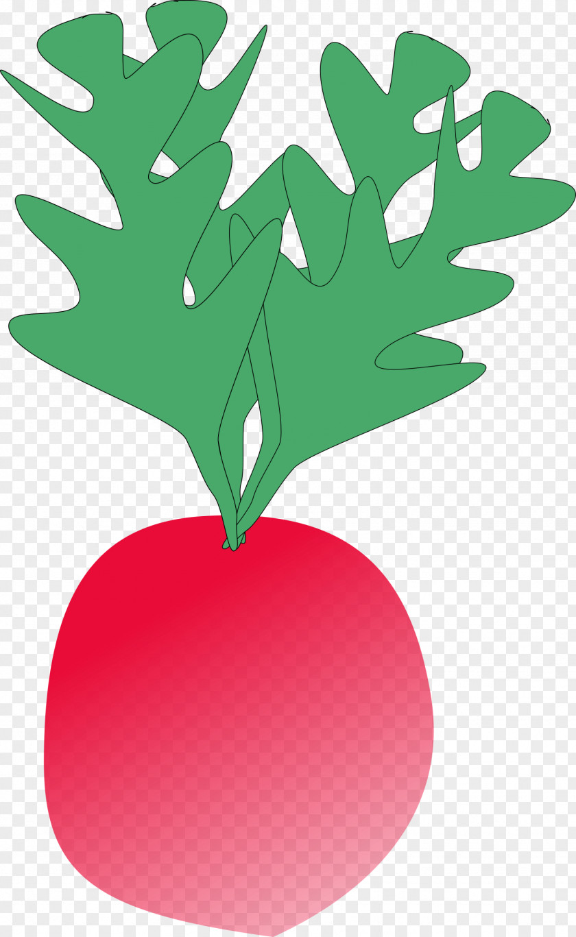 Radish Turnip Vegetable Clip Art PNG