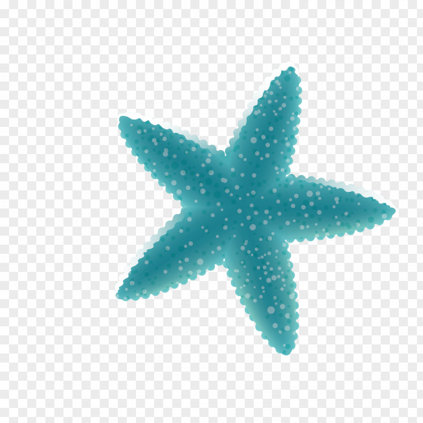 Vector Blue Starfish Decoration Deep Sea Creature Cartoon Ocean PNG