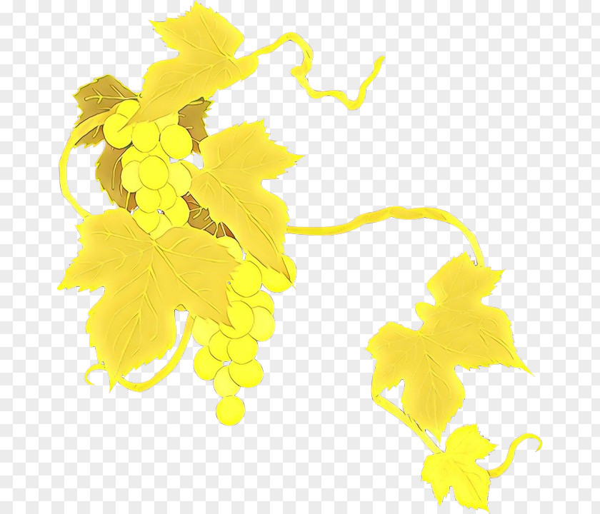 Vitis Plant Yellow Leaf Clip Art PNG