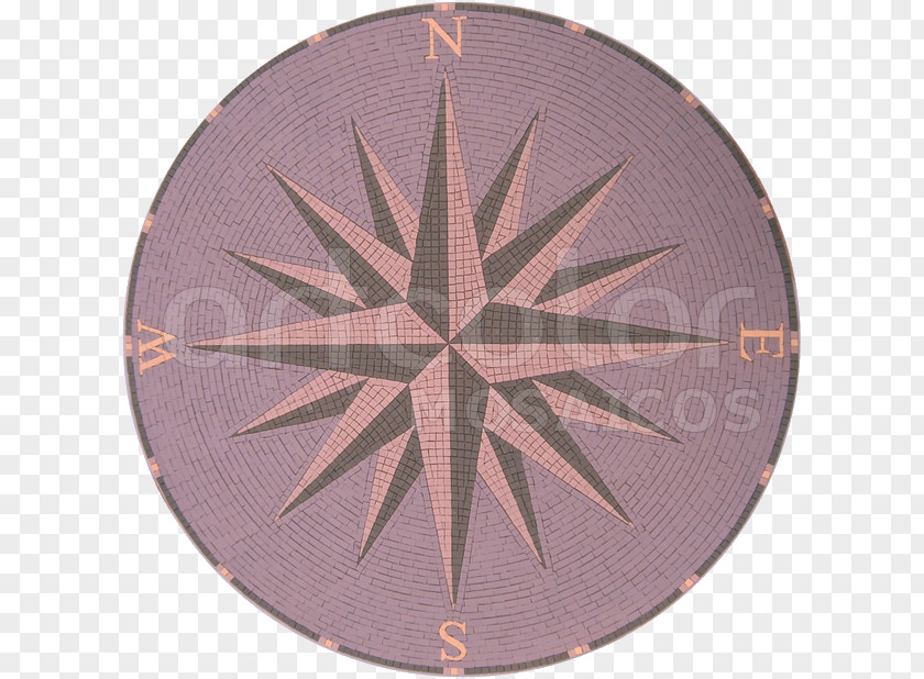 Compass North Rose Cardinal Direction Map PNG