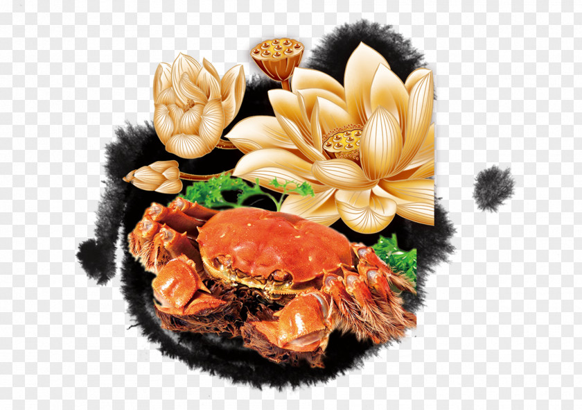 Crabs And Lotus Chinese Mitten Crab Cuisine Seafood PNG