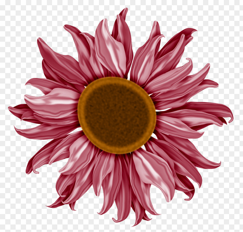 Red Sunflower Chrysanthemum Transvaal Daisy Dahlia Cut Flowers PNG