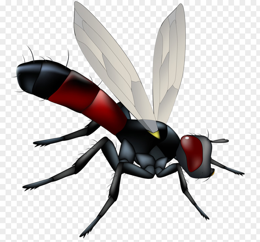 Terrible Flies Insect Wing Butterfly Dragonfly PNG