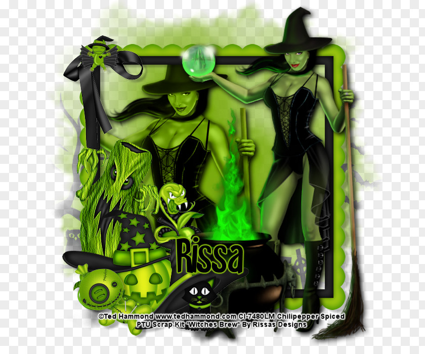 Witches Brew Wicked Witch Of The West Witchcraft PNG