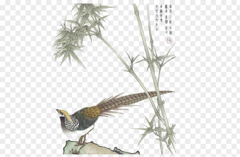Bamboo China Gongbi Ink Wash Painting Bird-and-flower Chinese PNG