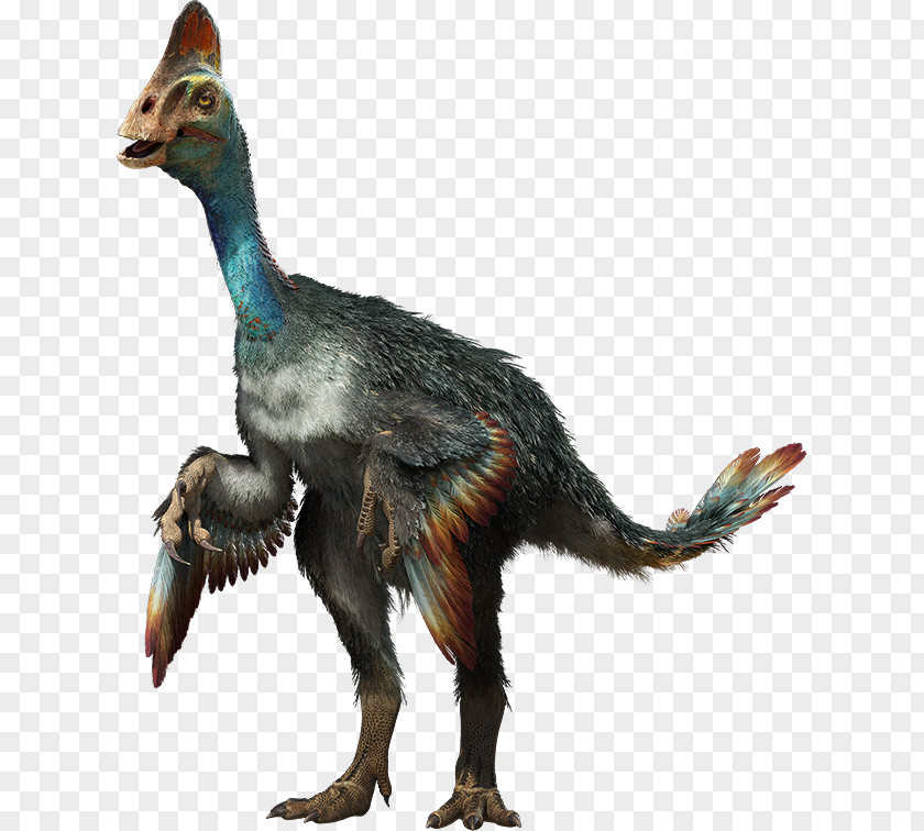 Dino Chirostenotes Parksosaurus Wannanosaurus Quetzalcoatlus Protoceratops PNG