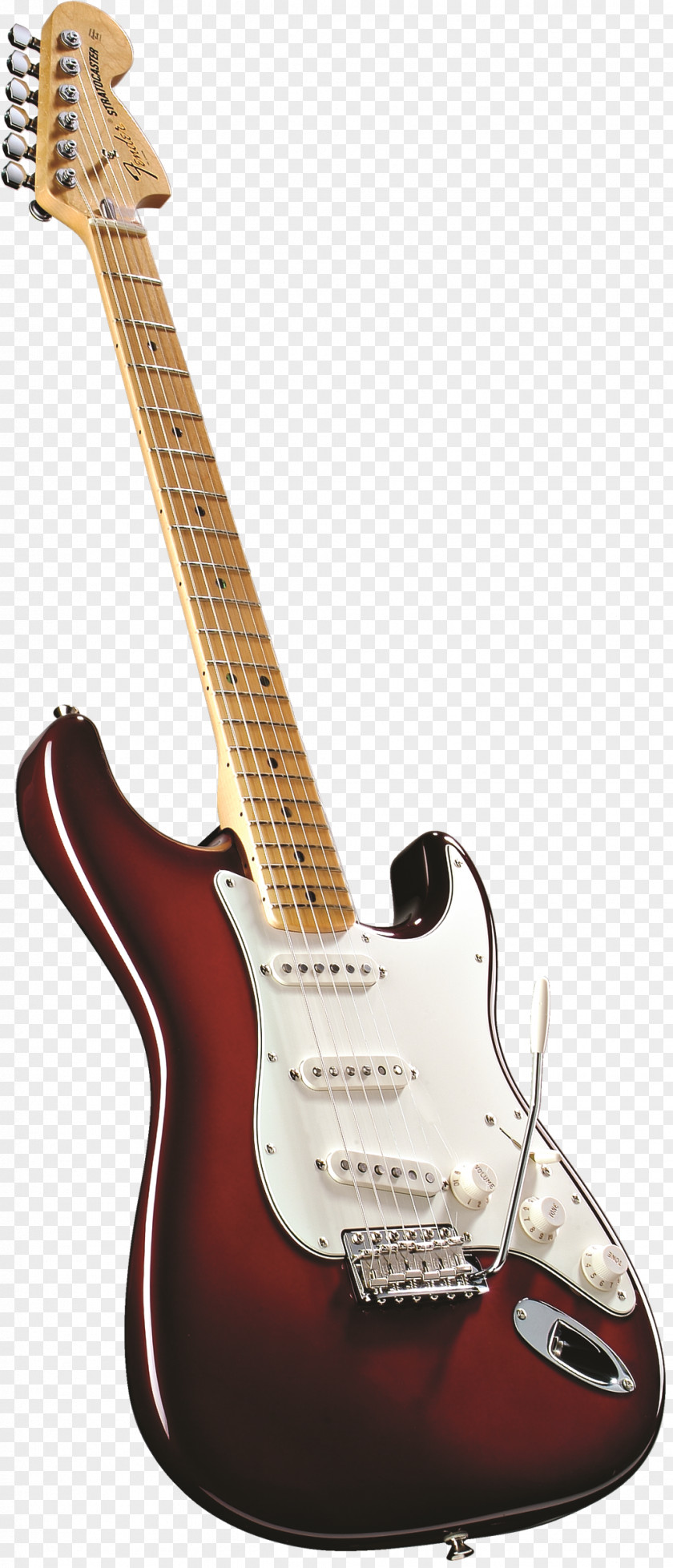 Electric Guitar Fender Stratocaster Eric Clapton Musical Instruments String PNG
