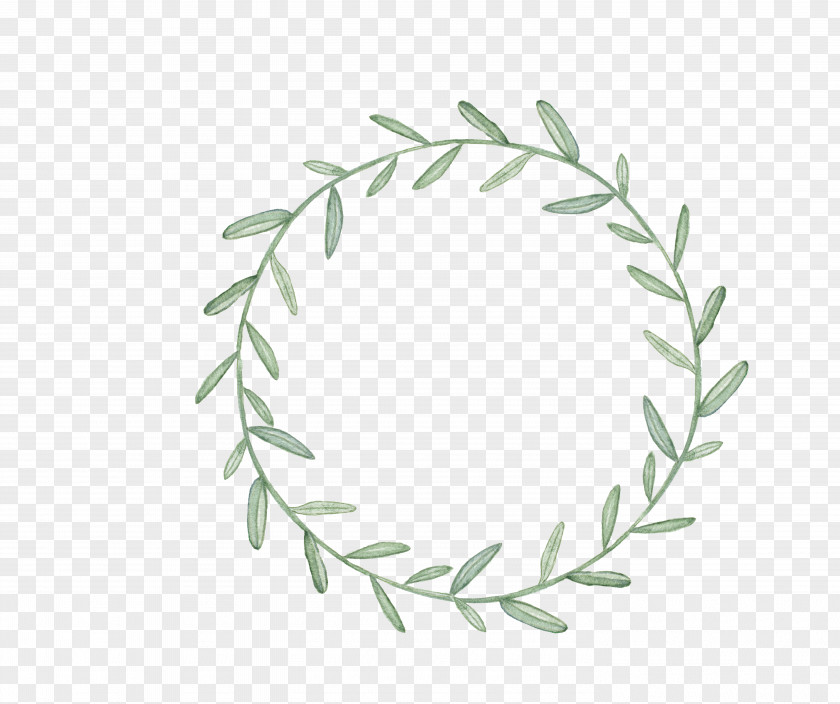 Leaf Circle PNG circle clipart PNG