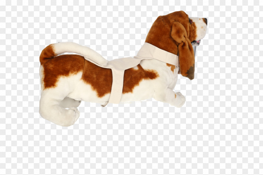 Puppy Basset Hound Beagle Dog Breed Companion PNG
