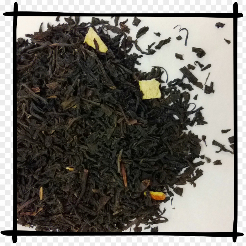 Tea Dianhong Nilgiri Assam Ink PNG