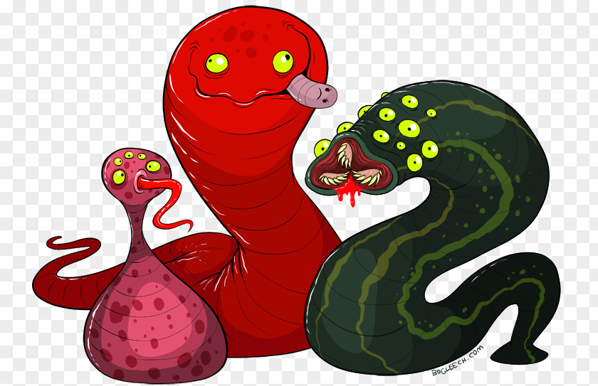 Worm Medicinal Leech Animal Biology PNG