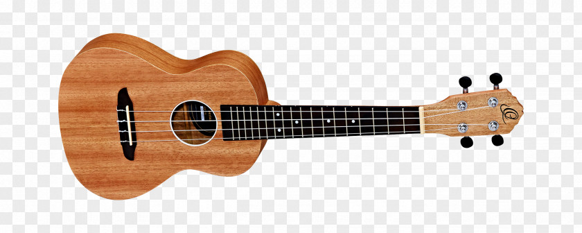 Amancio Ortega Ukulele Acoustic Guitar Classical String Instruments PNG