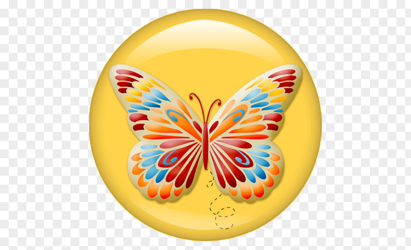 Butterfly Art Clip PNG