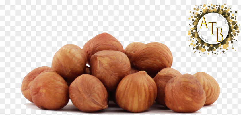 Chocolate Hazelnut Raw Foodism Organic Food Filbert PNG