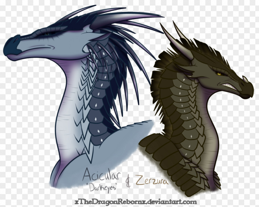 Dragon Wings Of Fire Drawing Child PNG