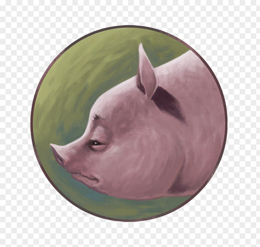 Pig Snout PNG