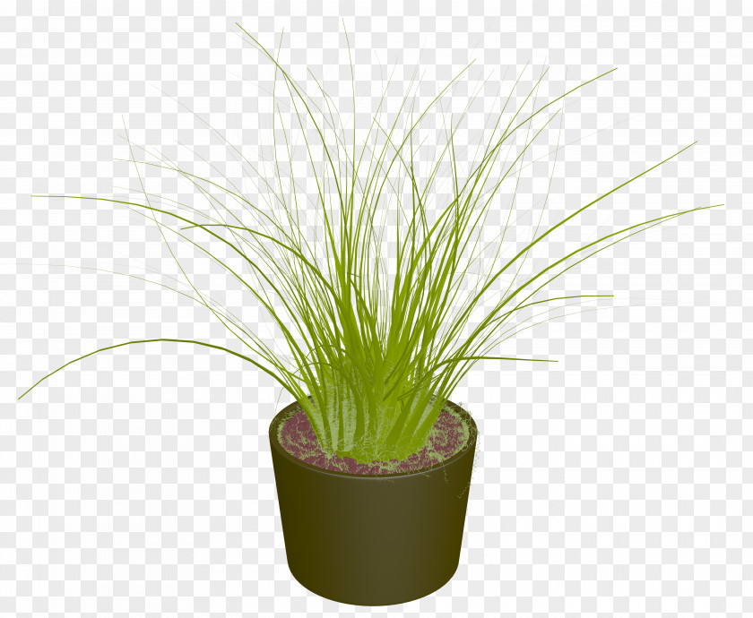 Potted Plant Shrub Clip Art PNG