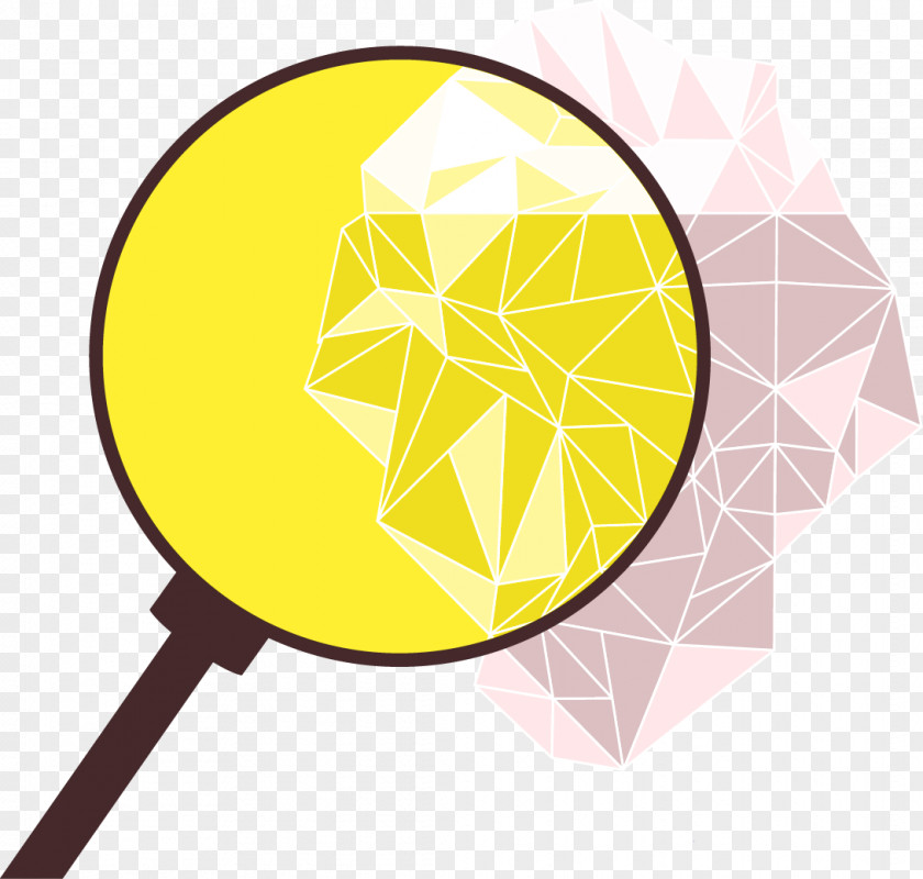 Vector Magnifying Glass Decorative Patterns Euclidean PNG