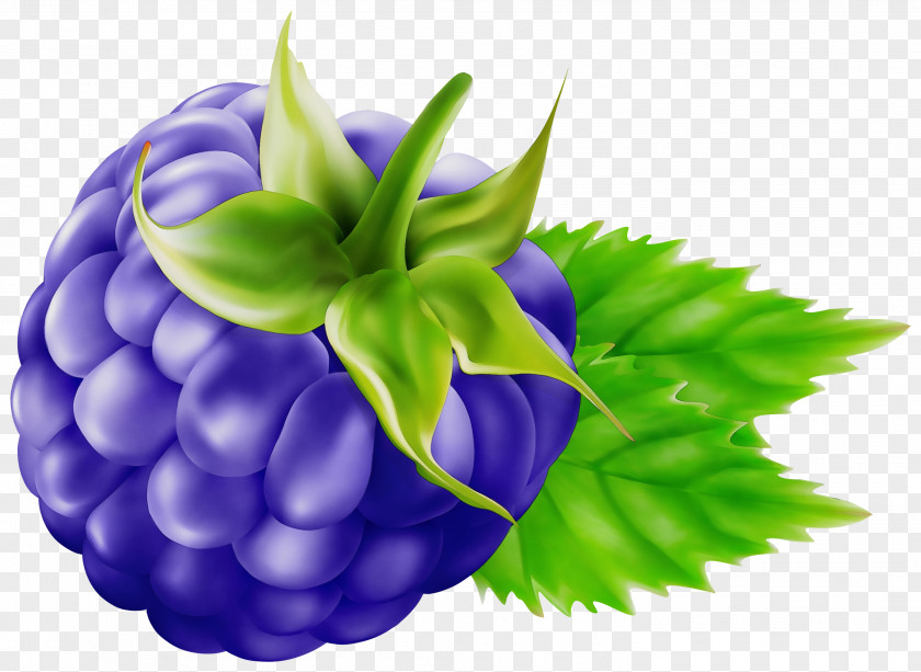 Ball Petal Purple Watercolor Flower PNG