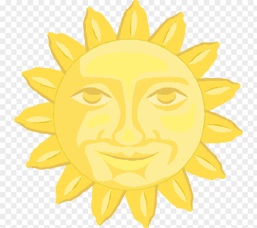 Cartoon Sun Illustration PNG