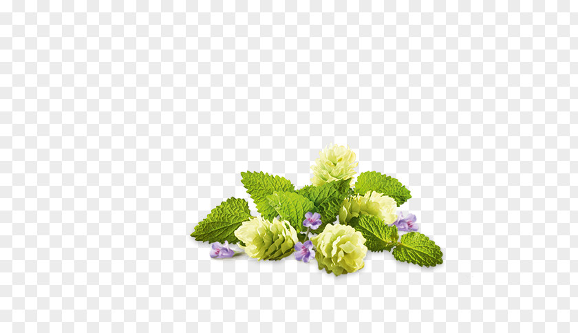 Deko Floral Design Cut Flowers Herbaceous Plant Hydrangea PNG