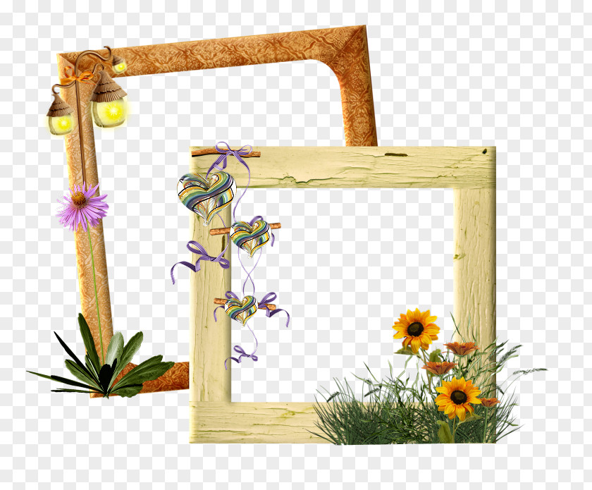 Jungle Frame Flower Picture Frames Floral Design Promenade Du Peyrou Meteorology PNG