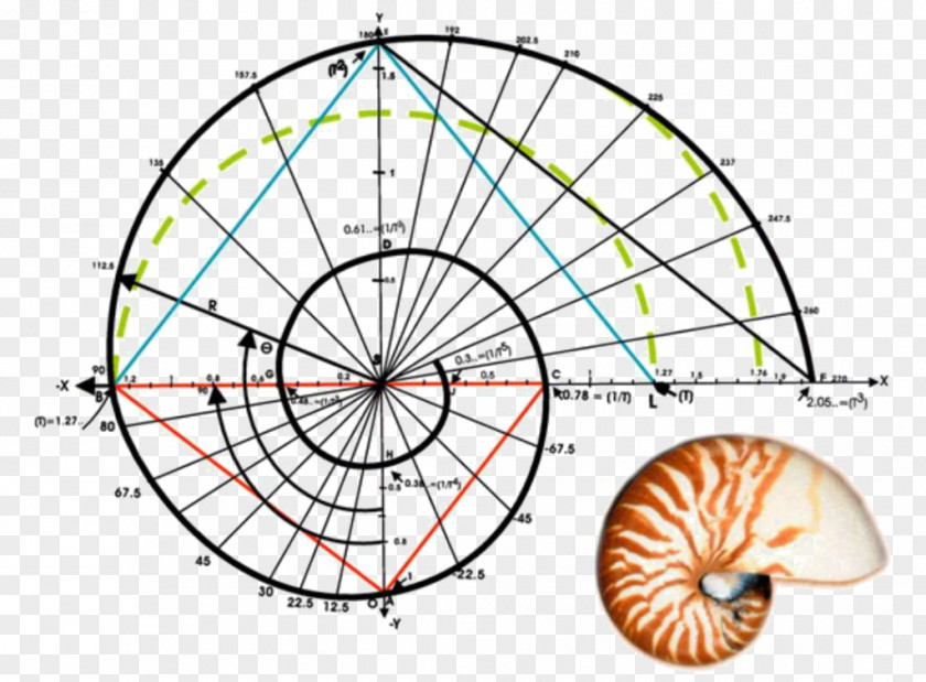 Mathematics Fibonacci Number Golden Ratio Spiral PNG