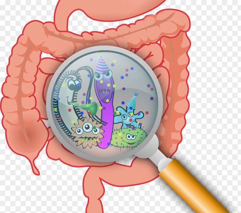 Pathogen Sterilized Bacteria Diarrhea Inflammatory Bowel Disease Gastrointestinal Tract Small Intestinal Bacterial Overgrowth PNG