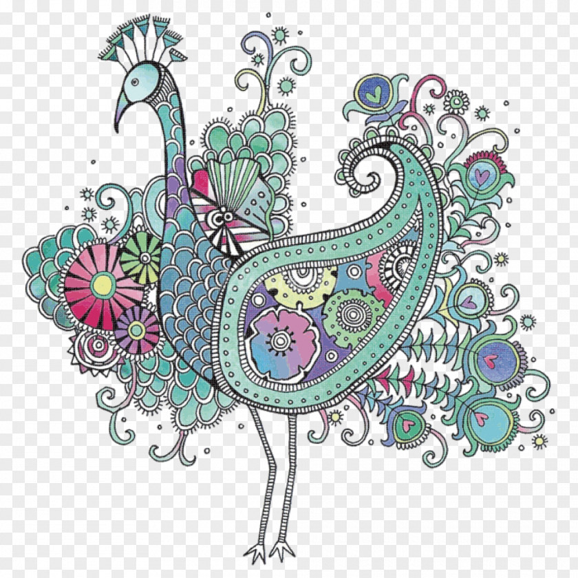 Peacock Bird Peafowl Drawing Doodle Pattern PNG