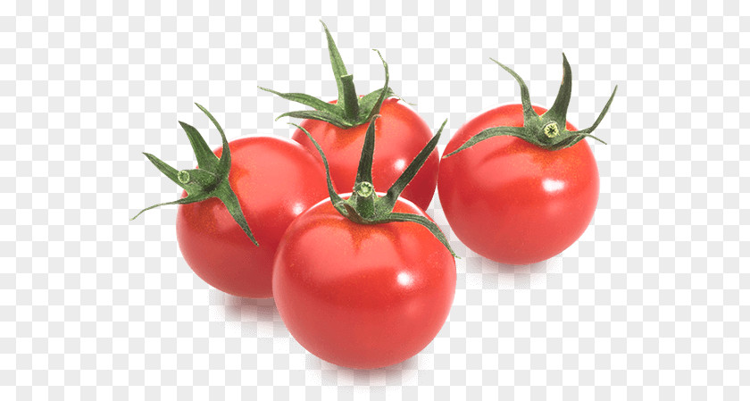 Tomaten Und Paprika Plum Tomato Food Bush Vegetarian Cuisine PNG