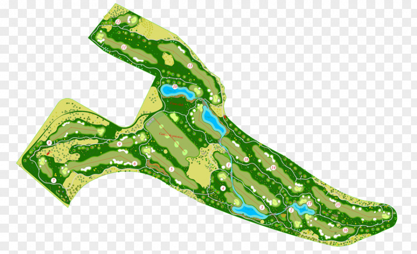 Golf La Faisanera Course Map Plan PNG