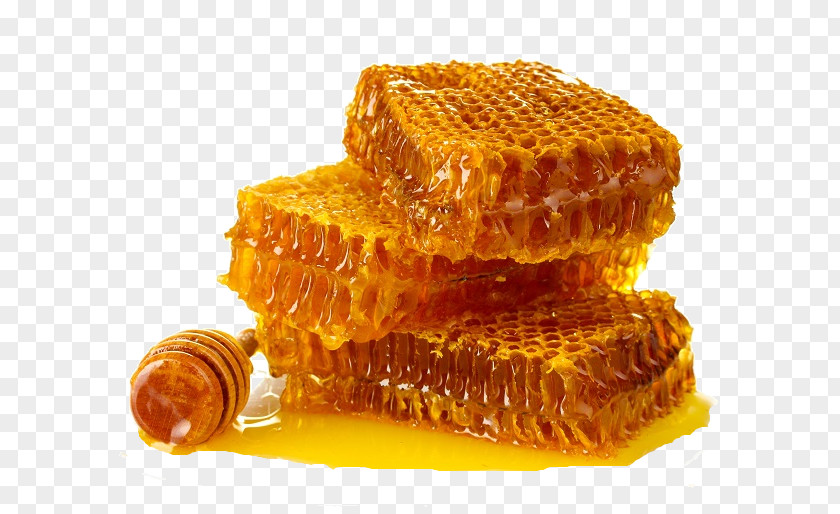 Honey Bee Honeycomb Organic Food PNG