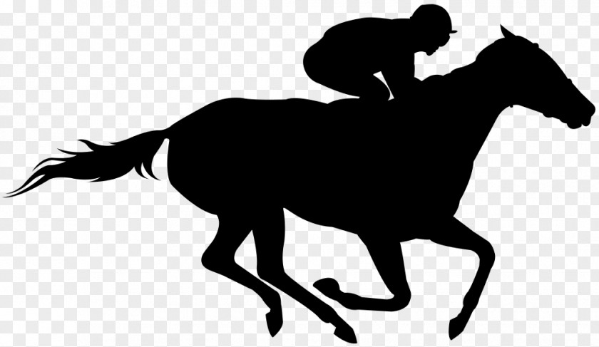 Horse Racing The Kentucky Derby Clip Art PNG