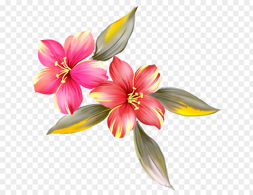 Painting Flower Decoupage PNG