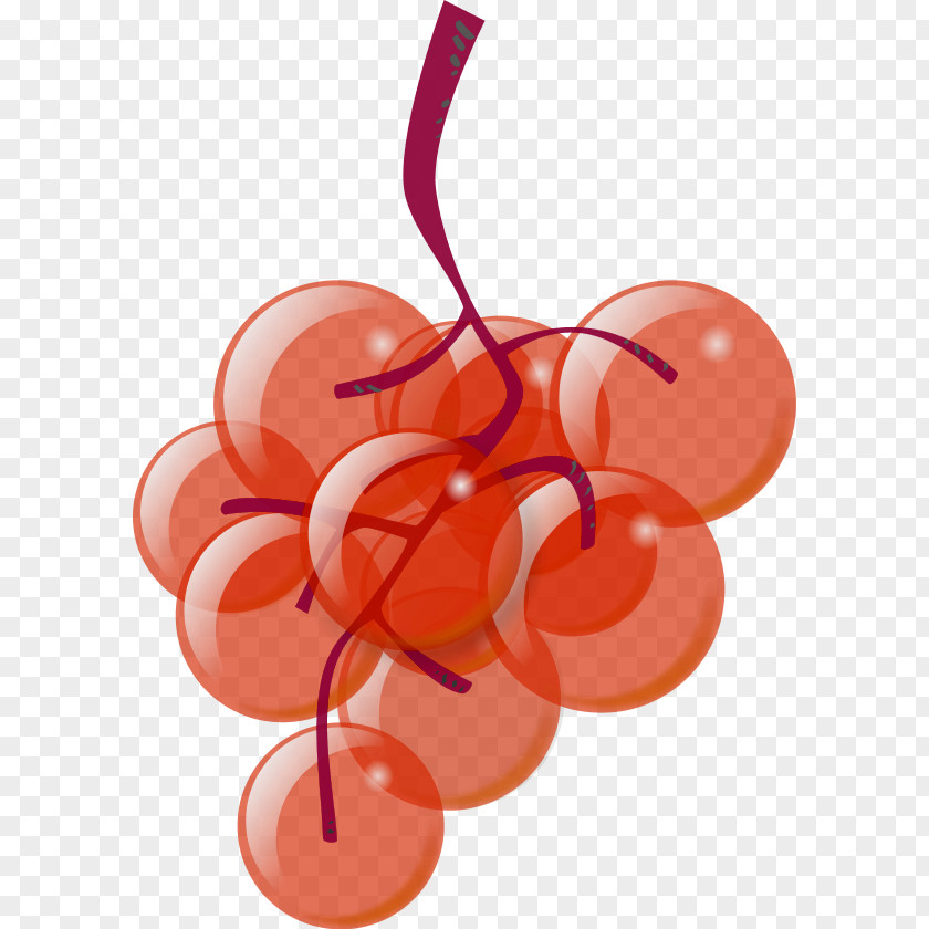 Red Grapes Pictures White Wine Grape Clip Art PNG