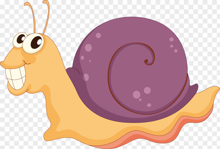 Snail Stock Photography PNG