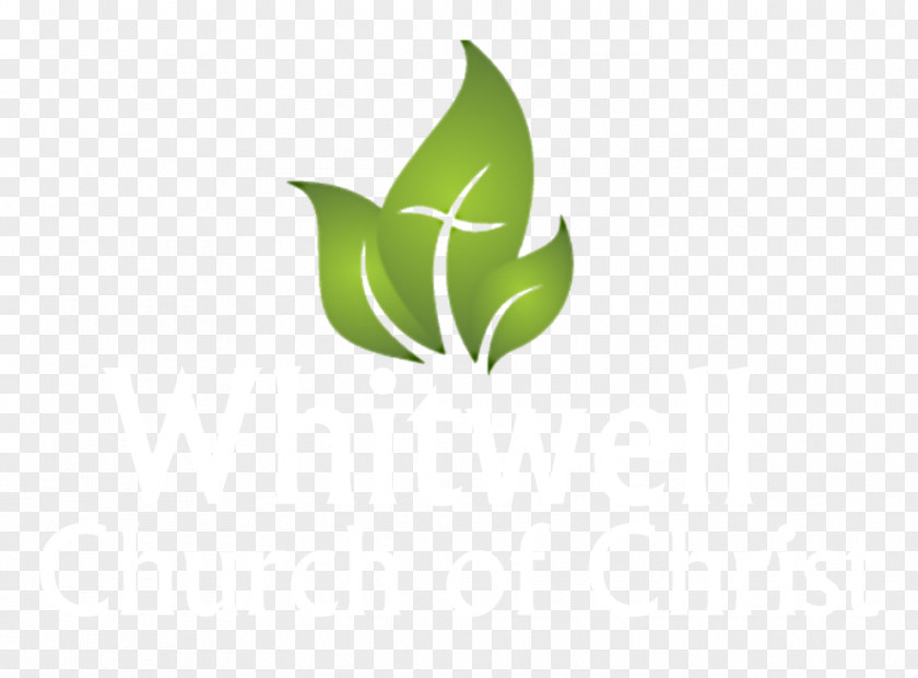 Design Logoworks Graphic PNG