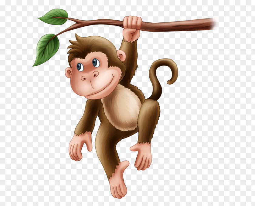 Monkey Primate Carnivora Animal Animated Cartoon PNG