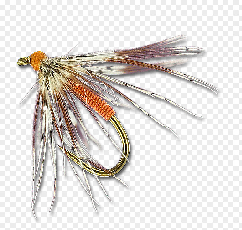 Soft Hackle Flies Artificial Fly Invertebrate PNG