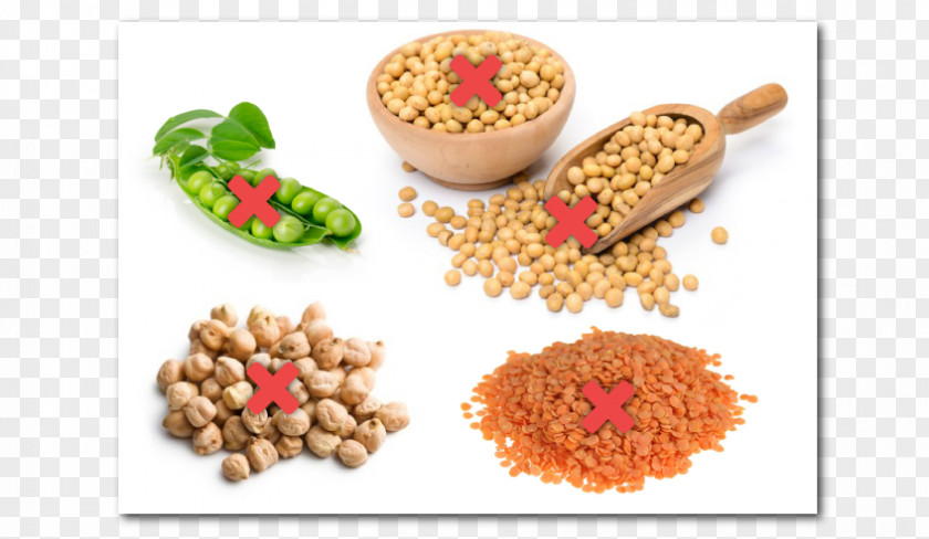 Soybean Agriculture Food Product Vegetarian Cuisine PNG