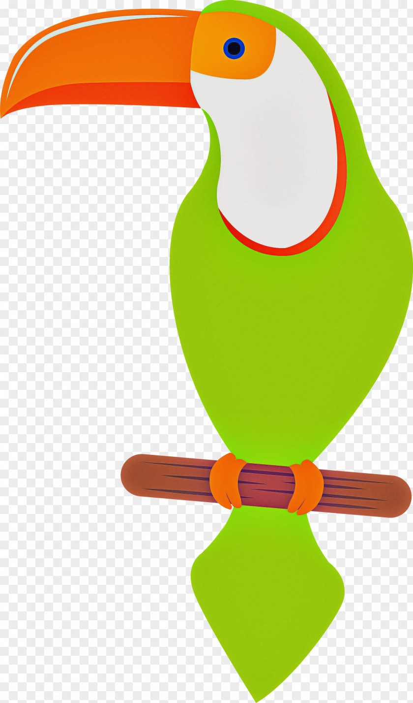 Toucans Beak Green PNG