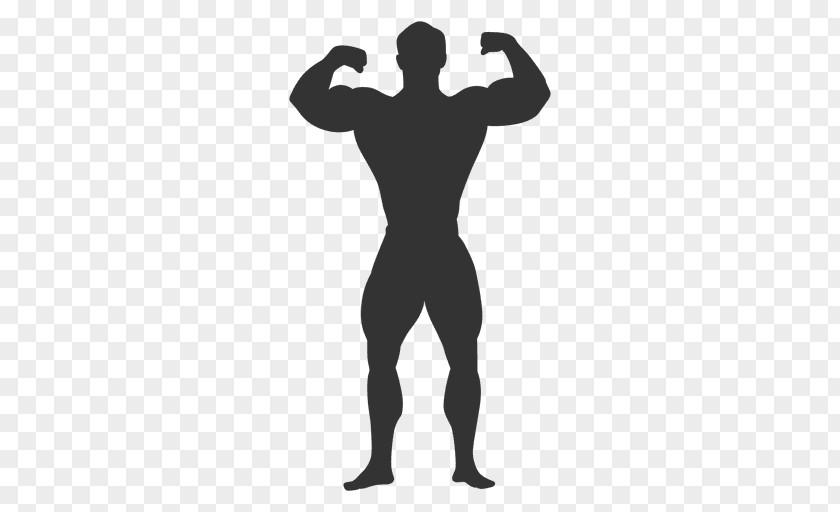 Bodybuilding Biceps Muscle PNG