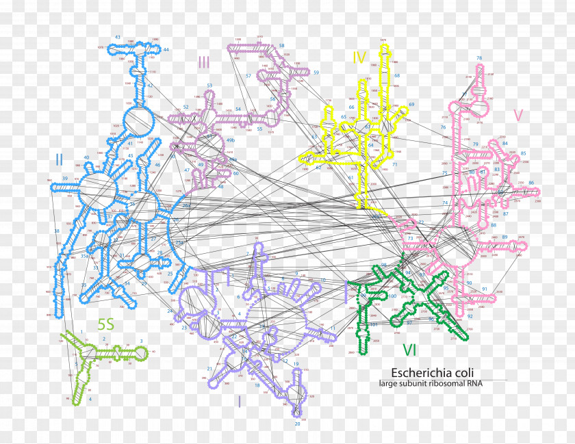 E Coli The 20/20 Experience – Complete Album Map Work Of Art PNG