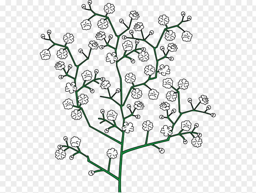 Flower Showy Baby's-breath Floral Design Royalty-free Clip Art PNG