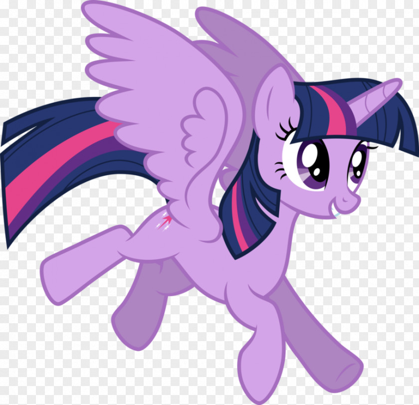 My Little Pony Twilight Sparkle Princess Celestia Rainbow Dash Rarity The Saga PNG