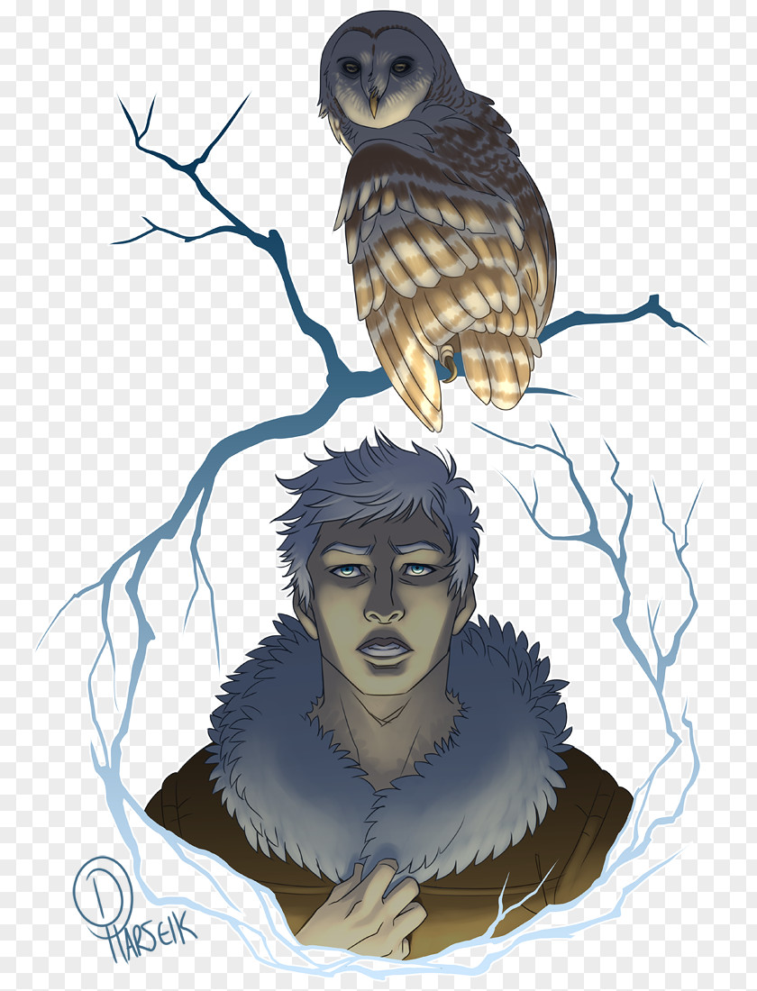 Owl Cartoon Hawk Beak PNG