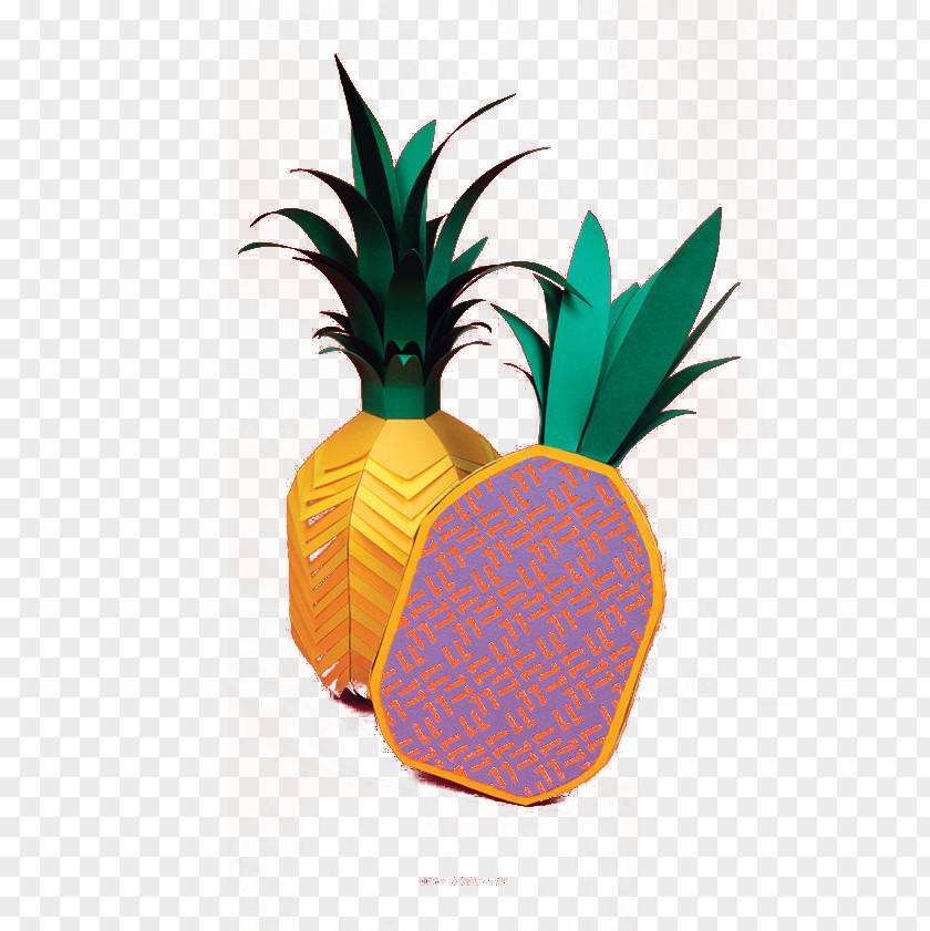 Pineapple Fruit Drawing PNG